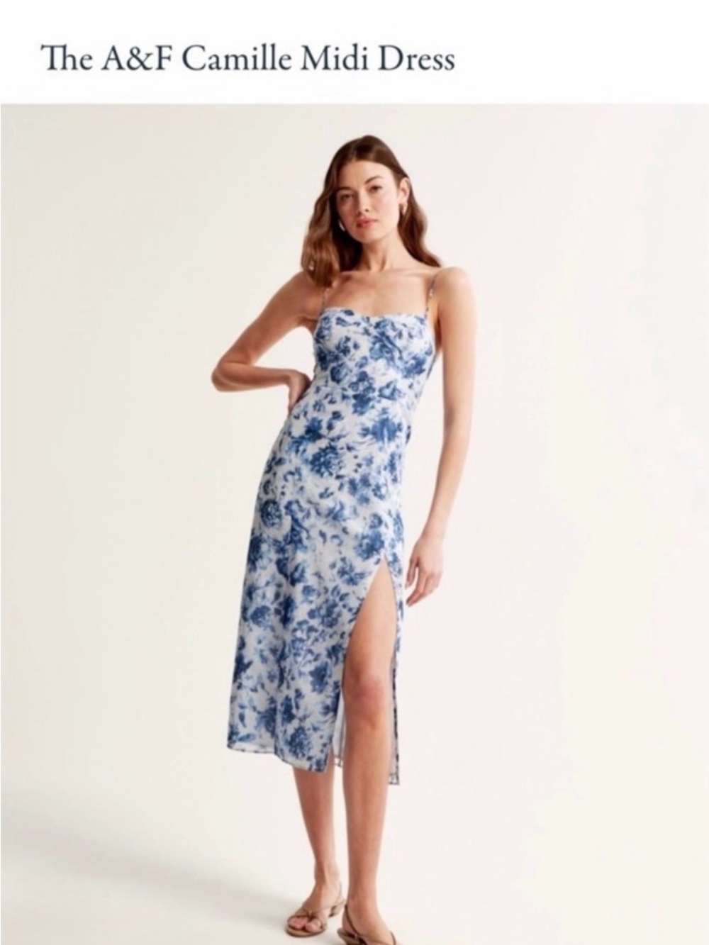 Abercrombie & Fitch Camille Blue and White Floral Midi Dress Sz M/P